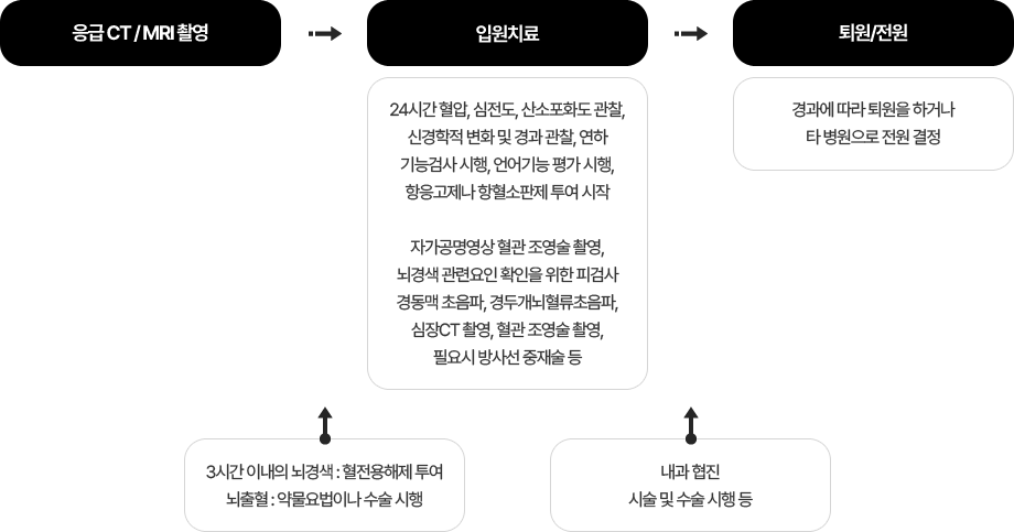 뇌졸중 치료방법